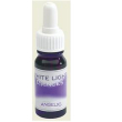 Angelic essence 10ml