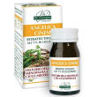 Angelica cinese estr tit60 pastiglie