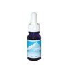 Antarctic essence gocce 10ml