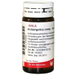 Archangelica compatta 20g gl wal
