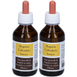 Argento colloidale ionico 40 ppm 2x100 ml gocce