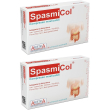 Aristeia farmaceutici spasmicol compresse masticabili 2x15 g