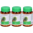 Arkopharma arkocapsule ananas 3x23 g capsule
