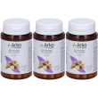 Arkopharma arkocapsule zenzero 3x19 g capsule