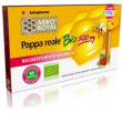 Pappa reale bio 500mg 10unicad