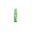 Arsenicum album 5ch 80gr 4g