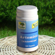 Artemisia assenzio 100 capsule