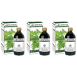 Artemisia estratto integrale 200 ml 3x200 ml soluzione orale