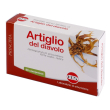 Artiglio diavolo estr sec60 compresse