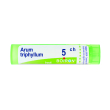 Arum triphyllum 5ch 80gr 4g