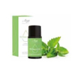 Arya hd sin olio rinf menta