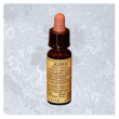 Aspen 10ml di leo