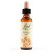 Aspen bach orig 20ml
