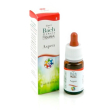 Aspen gun gocce 10ml