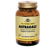 Astragali 100 capsule vegetali