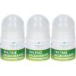 Australian company tea tree deo roll on 50 ml