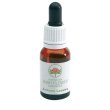 Autumn leaves gocce 15ml