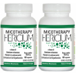 Avd micotherapy hericium set da 2 2x90 pz capsule