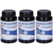 Avd performance brain capsule 3x60 pz