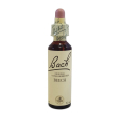 Bach center ess beech 20ml