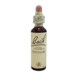Bach center ess centaury 20ml