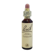 Bach center ess clematis 20ml