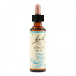 Bach center ess mimulus 20ml