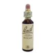 Bach center ess mustard 20ml
