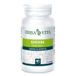 Erba vita bardana 125 tavolette 400 mg funzionalita depurativa