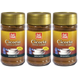 Baule volante cicoria tostata solubile bio 100 g