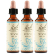 Beech bach orig 20ml 3x20 ml gocce orali