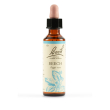 Beech bach orig 20ml