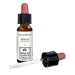 Beech original 10ml gocce