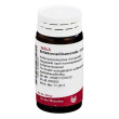 Belladonna chamom 20g gl wala