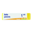 Bellis perennis 1000k gl 1g