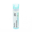 Bellis perennis 5ch 80gr 4g