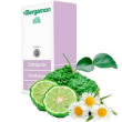 Bergamon detergente a/sec300ml