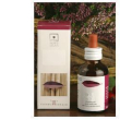 Betula pubescens 50ml stv