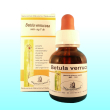 Betula verruc semi mg 30ml