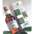 Betulla fgl 100ml tm