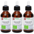 Biancospino macerato glicerico 100 ml bio 3x100 ml soluzione orale