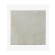 Biatain alg medicazione 15x15cm 10 pezzi