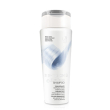 Shine on silver touch shampoo tonalizzante bionike 200 ml