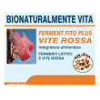 Biovita plus vite rossa 14 bustine