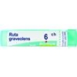 Bo. ruta graveolens 6 ch 80 g 4 g