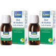 Boiron® seve de bouleau linfa di betulla set da 2 2x60 ml soluzione or