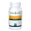 borragine 45 perle 700mg   ebv