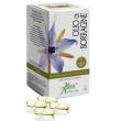 Borragine concen olio 50 opercoli