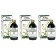 Borsa del pastore estratto integrale 200 ml 3x200 ml soluzione orale