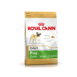 Breed hn pug carlino 25 1,5kg